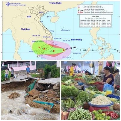Chỉ đạo, điều hành của Chính phủ, Thủ tướng Chính phủ nổi bật tuần từ 19-23/11